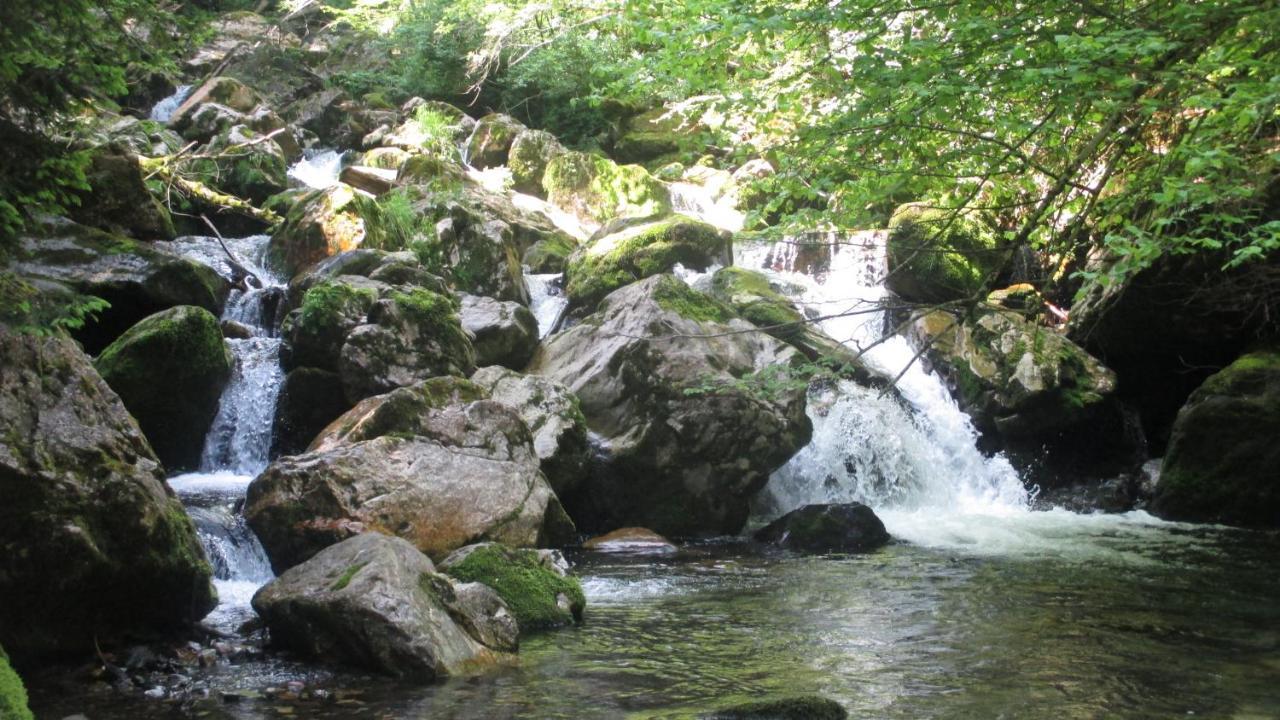 Apartmenthaus Berdnik Kotschach-Mauthen Esterno foto